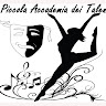 Piccola Accademia dei Talenti