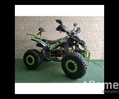 QUAD WARRIOR PRO 125CC R8